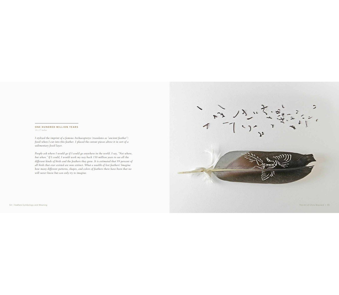 Feathers: Symbology and Meaning book - Chris Maynard